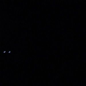 Meet your Posher, Tasha